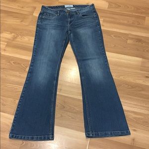 Maurices Molli Flare Jeans 
